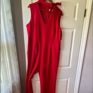 Ladies Jumpsuit